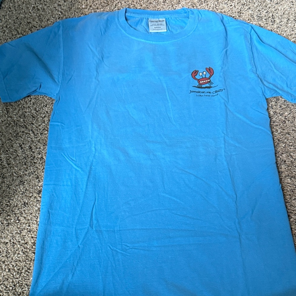 Hanes ComfortWash Blue T-Shirt